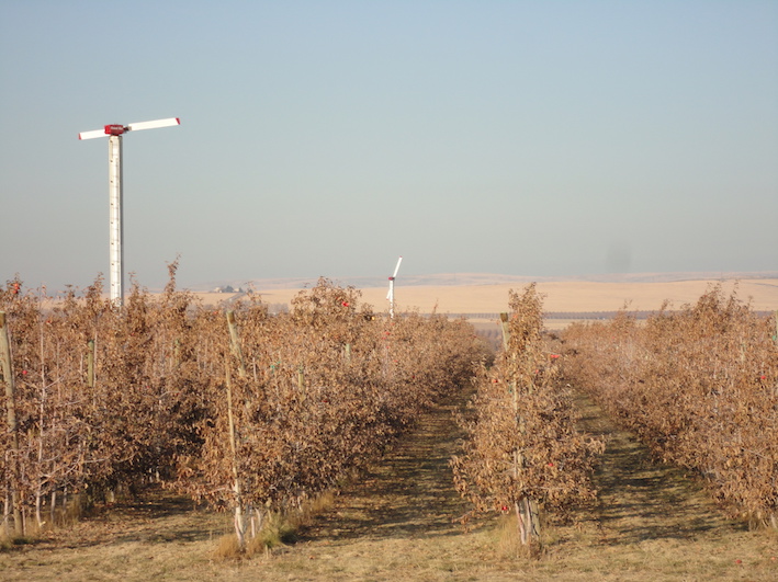 Frost protection 2 wind machines